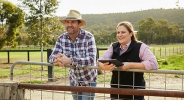 Is your fencing under insured?